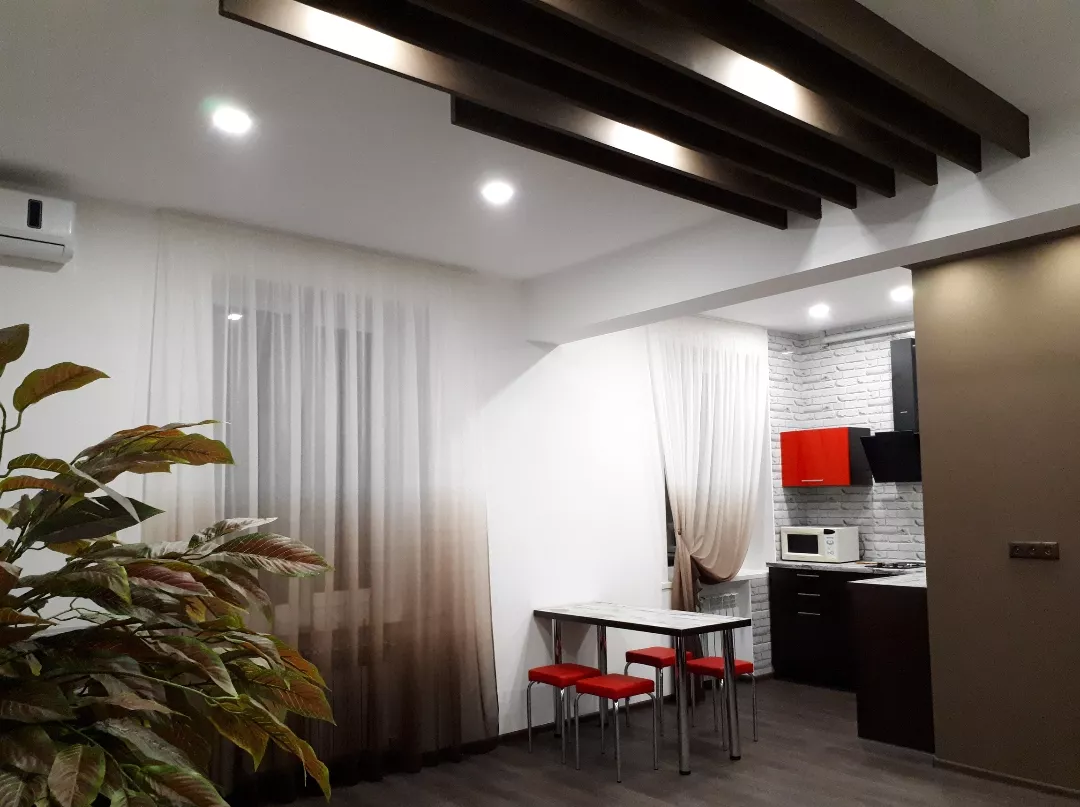 2 rooms apartments daily in Dnipro, TSentralnyy district D ...