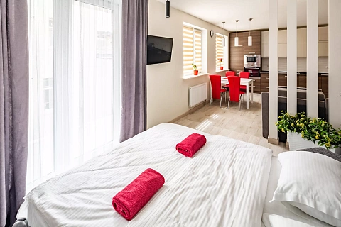 1-комнатная посуточно в Львове. Галицкий район, ул. Газовая, 5а &mdash; 1001075998 изображение 6