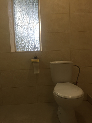 Дом посуточно в Лебедевке, ул. Центральная, 11