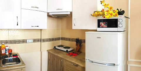 1-комнатная daily in Ivano-Frankivsk. Mazepy St., 3 &mdash; 1001126225 image 2