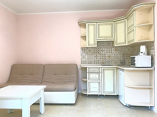 Дом посуточно в Хусте, с. Шаян, ул. Подлесная, 5в