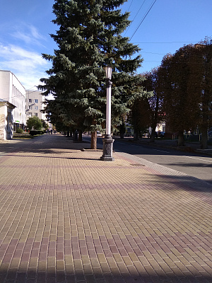 Однокомнатная квартира посуточно в Хмельницком, ул. Каменецкая, 65