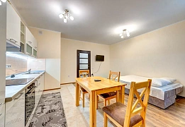 Квартиры посуточно в Днепровском районе (106)