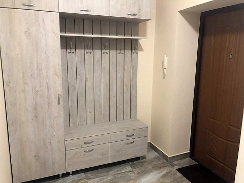 1-комнатная daily in Uzhhorod. Tlekhasa St., 14 &mdash; 1001235788 image 10