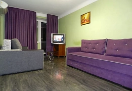 1-room apartment daily rent in Zaporizhzhia (11)