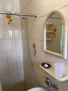 house daily in Fontanka. Gagarina St., 16 &mdash; 1000830765 image 13
