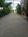 house daily in Illichivsk (Chornomorsk). Zapadnaya St., 5 &mdash; 1001314135 image 18