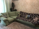 1-комнатная подобово у Миколаєві. Центральный район, вул. Чкалова, 84 — 1001344887 зображення 14