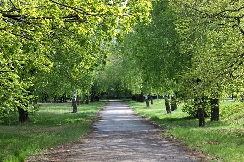 Будинок подобово у Черкасах. с. Сагунівка, 11 &mdash; 1000951741 зображення 27