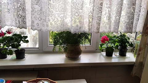 1-комнатная посуточно в Львове. Шевченковский район, ул. Гетьмана Мазепы, 26 &mdash; 1000860100 изображение 9