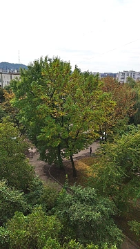 1-комнатная посуточно в Львове. Шевченковский район, ул. Гетьмана Мазепы, 26 &mdash; 1000860100 изображение 12