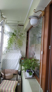 1-комнатная посуточно в Львове. Шевченковский район, ул. Гетьмана Мазепы, 26 &mdash; 1000860100 изображение 13