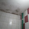 Reviews image 5
