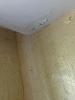 Reviews image 3