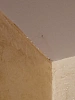 Reviews image 5