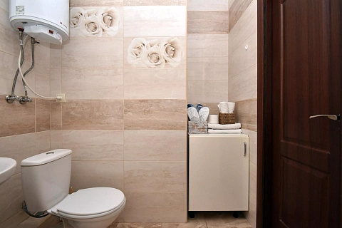 1-комнатная daily in Kyiv. Darnitskiy district, Sofii Rusovoy St., 3В — 1001367628 image 12