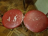 Reviews image 1