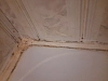 Reviews image 8