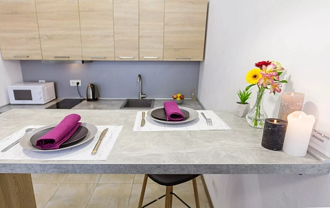 1-комнатная daily in Kyiv. Podolskiy district, Syretsko-sadovaya St., 1 &mdash; 1001373642 image 7