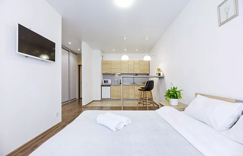 1-комнатная daily in Kyiv. Podolskiy district, Syretsko-sadovaya St., 1 &mdash; 1001373642 image 8