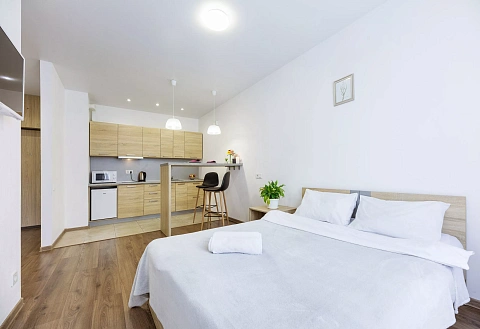 1-комнатная daily in Kyiv. Podolskiy district, Syretsko-sadovaya St., 1 &mdash; 1001373642 image 2