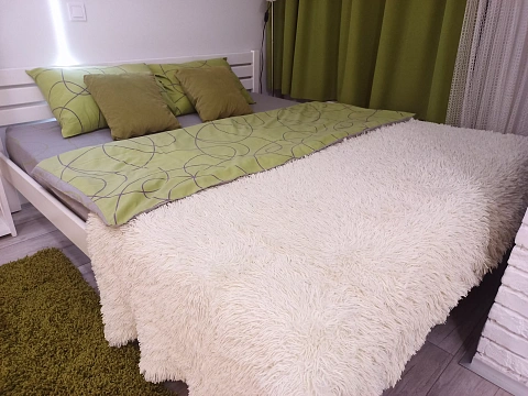 1-комнатная посуточно в Киеве. Днепровский район, пр-т Соборности, 17 &mdash; 1001555558 изображение 4