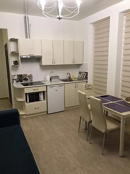 1-комнатная daily in Truskavets. Markiyana SHashkevicha St., 3 &mdash; 1001557377 image 6