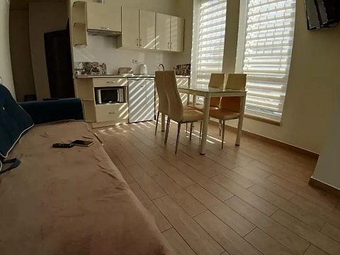 1-комнатная daily in Truskavets. Markiyana SHashkevicha St., 3 &mdash; 1001557377 image 11