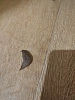 Reviews image 4