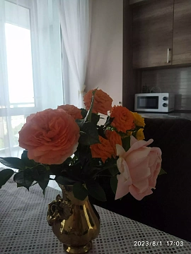 2-комнатная подобово у Луцьку. вул. Івана Франка, 61 &mdash; 1001579231 зображення 4