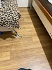 Reviews image 1