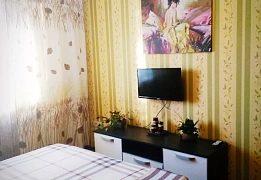 Квартири подобово в Олександровскому районі (39)
