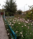 Комната посуточно в Киеве. Голосеевский район, ул. Юрия Лаврова, 13 — 1001592571 изображение 22