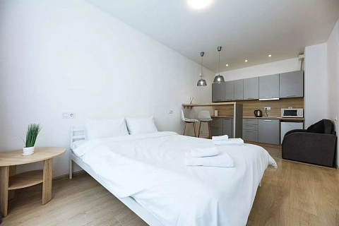 1-комнатная подобово у Києві. Подольский район, вул. Сирецько-Садова, 1 &mdash; 1001600088 зображення 3