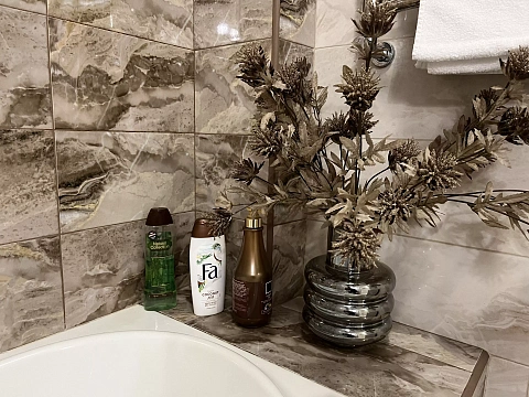 1-комнатная подобово у Львові. Шевченковский район, пр-т В'ячеслава Чорновола, 16ж &mdash; 1001604564 зображення 4