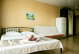 Apartments for daily rent on Aleksandra Polja, Dnipro (2)