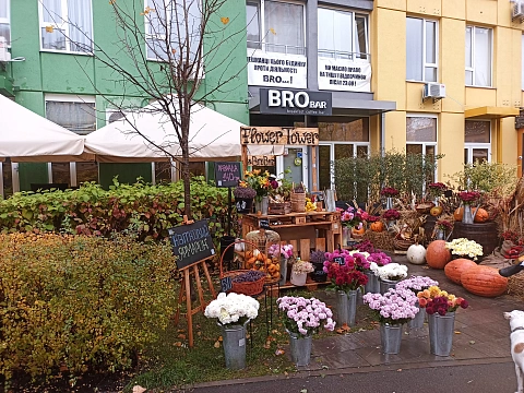 1-комнатная подобово у Києві. Днепровский район, пр-т Соборності, 17 &mdash; 1001514457 зображення 22