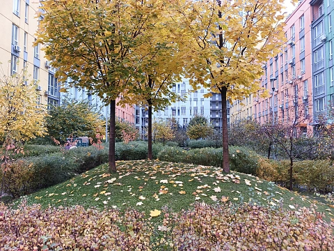 1-комнатная подобово у Києві. Днепровский район, пр-т Соборності, 17 &mdash; 1001514457 зображення 23