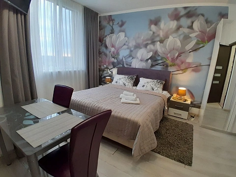 1-комнатная daily in Truskavets. Pomiretskaya St., 9 &mdash; 1001323405 image 1