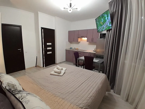 1-комнатная daily in Truskavets. Pomiretskaya St., 9 &mdash; 1001323405 image 9