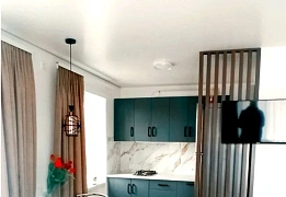 Квартири подобово в Центральному районі (91)