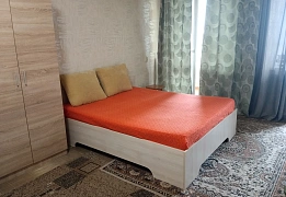 Apartments for daily rent in Kyiv near Mamaeva Sloboda (50)