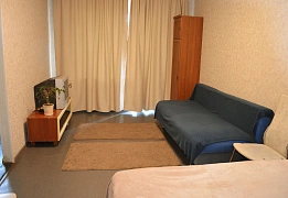 Apartments for daily rent in Kyiv (105)