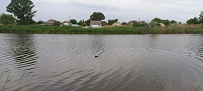 1-комнатная daily in Dnipro. Industrialnyy district, Kobzarya Blvd, 3 — 1001020798 image 35