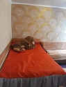 Дом посуточно в Одессе. Пересыпский район, ул. Штилевая, 80б — 1001092440 изображение 24