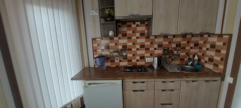 house daily in Fontanka. Vinogradnaya St., 56 — 1001676885 image 7