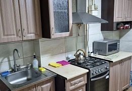 Квартири подобово в Центральному районі (27)