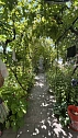 room daily in Odesa. Kievskiy district, Georgiya Lipskogo  Tolbukhina St., 2 — 1001677363 image 13