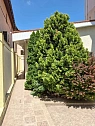 house daily in Odesa. Primorskiy district, Literaturnaya St., 7/2 — 327816149 image 18