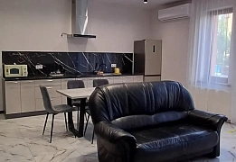 Apartments for daily rent in Truskavets (40)